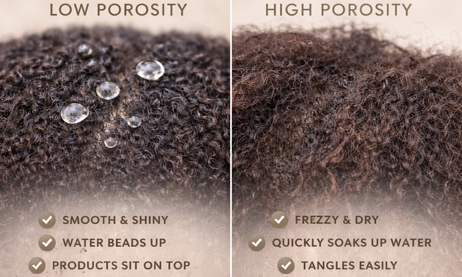 Hair Porosity Explained: What it is and Why it Matters