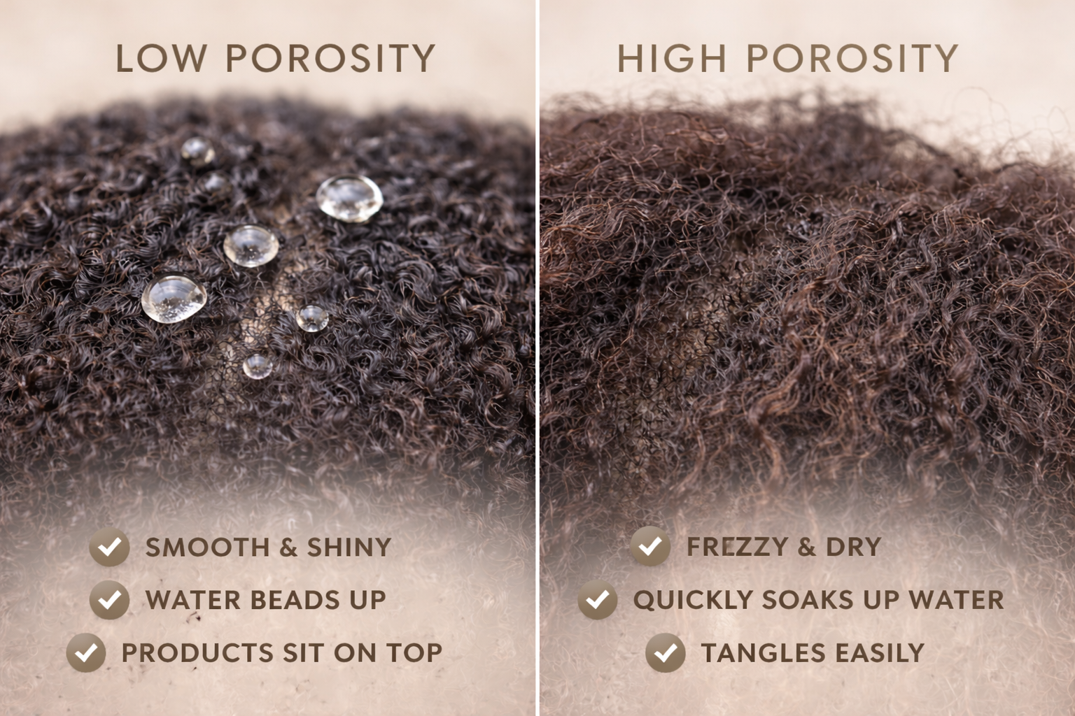 Hair Porosity Explained: What it is and Why it Matters